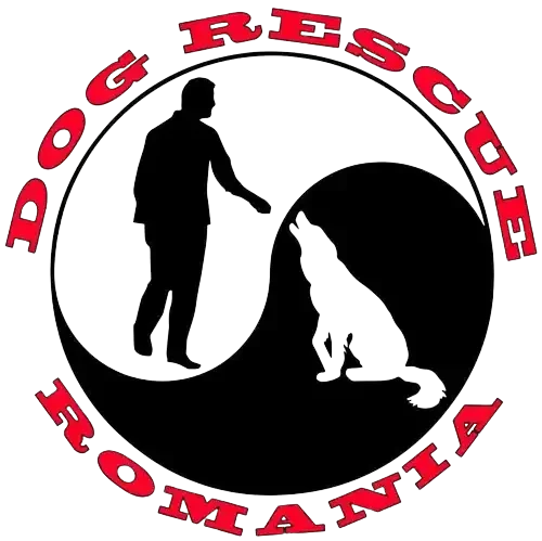 Logo Dog Rescue Romania